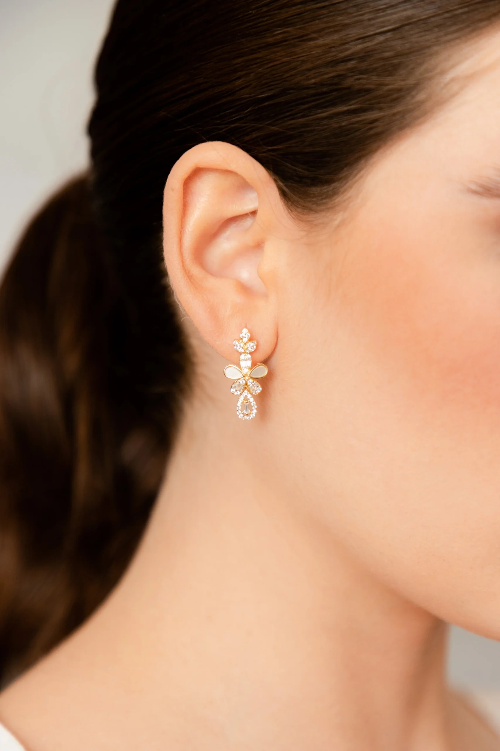 ARETE WS1E - Imagen 5